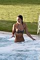 brody-pool