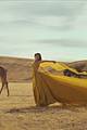 swift-wildestvid