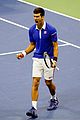novak-win