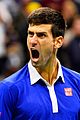 novak-win