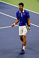 novak-win