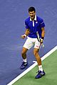 novak-win