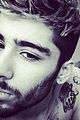 zayn-cuddle