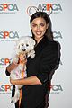 shayk-aspca
