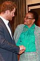 harry-nmandela