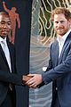 harry-nmandela