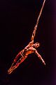 renner-cirque