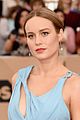 brie-sag