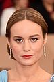 brie-sag
