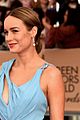 brie-sag