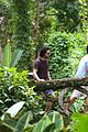 harington-brazil2