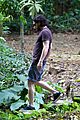 harington-brazil2