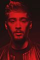 malik-vid