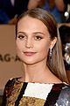 vikander-sag