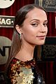 vikander-sag