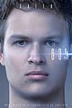 allegiant-fin