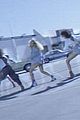 beyonce-form