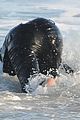 garner-clothed