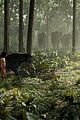 jungle-cast
