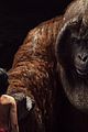 jungle-cast