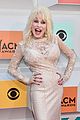 parton-acm