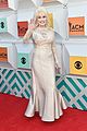parton-acm