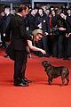 fisher-dogcannes