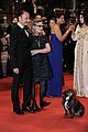 fisher-dogcannes