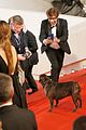 fisher-dogcannes