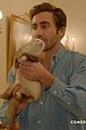 gyllenhaal-catfish