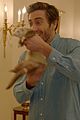 gyllenhaal-catfish