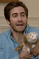 gyllenhaal-catfish