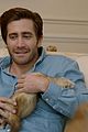 gyllenhaal-catfish