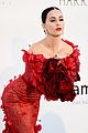 perry-amfar