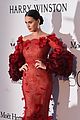perry-amfar