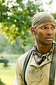 roots-cast