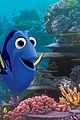 dory-bought