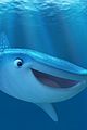 dory-bought