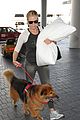 handler-dog