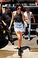 kendall-collection