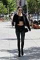 kendall-fan