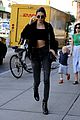 kendall-fan
