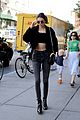 kendall-fan