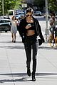 kendall-fan