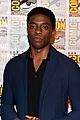 panther-con