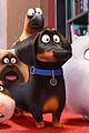 pets-cast