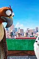 pets-cast