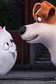 pets-cast