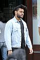 weeknd-nyc