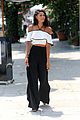 chanel-ivy